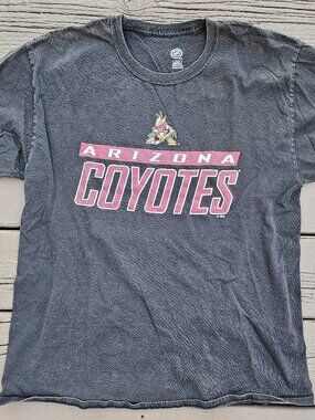 Arizona Coyotes NHL Black T-Shirt - Men's Size Large